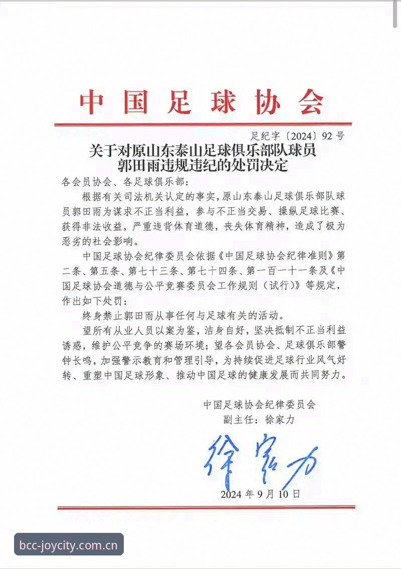 中国足协第三批禁足名单深度解析：65人受罚背后的足球腐败全链条